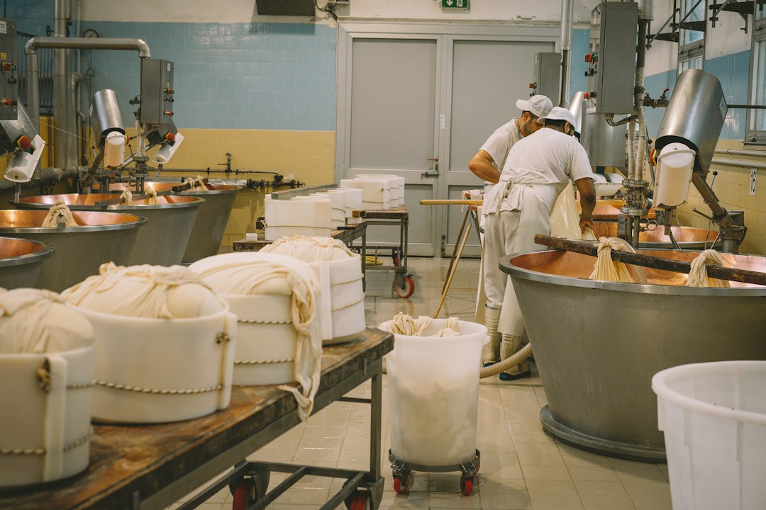 Medewerkers aan een productielijn voor voeding