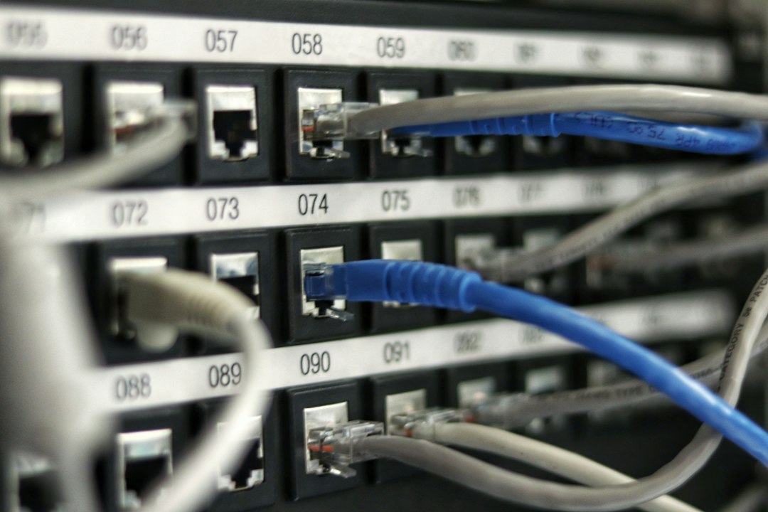 Netwerkkabels in een serverkast